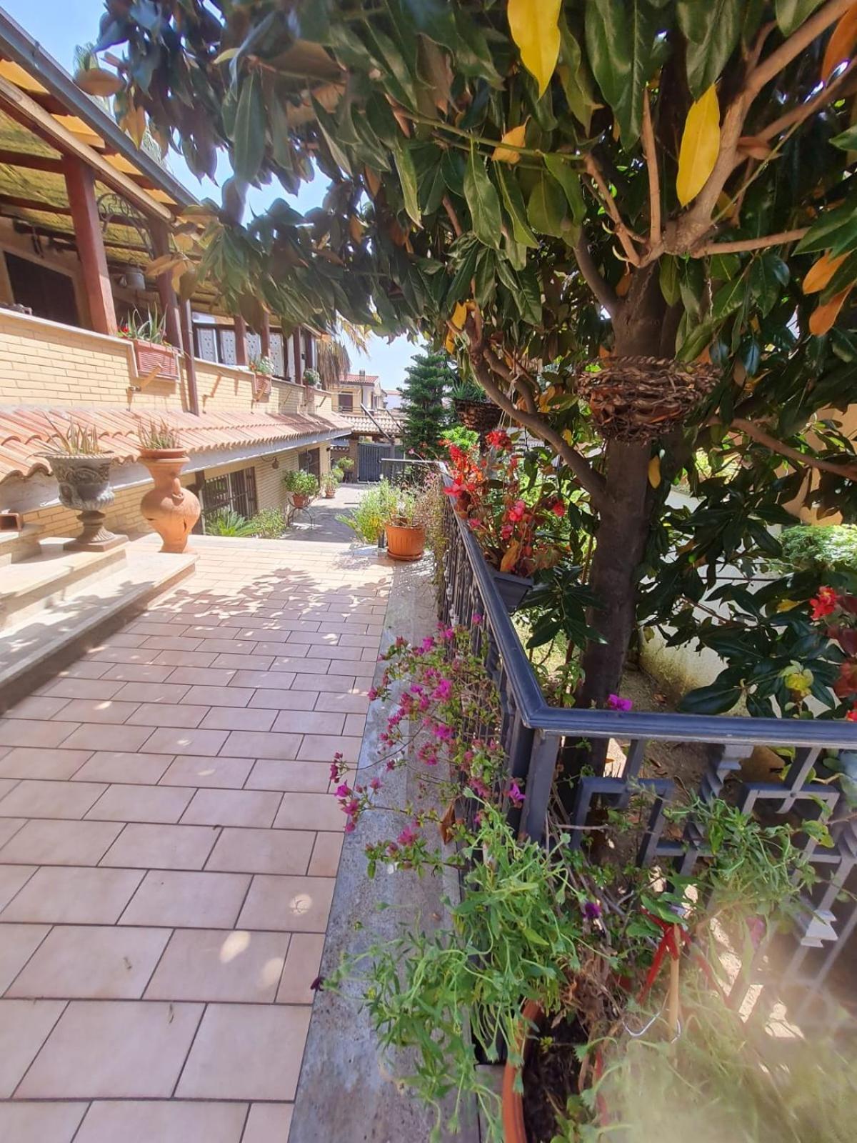 Villa Mattei Dreams Rome Exterior photo